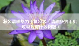 怎么清理华为手机垃圾（清理华为手机垃圾会有什么问题）