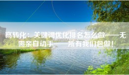 高转化：关键词优化排名怎么做——无需亲自动手——所有我们包做！