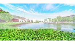 移动3手机（移动3fdd）