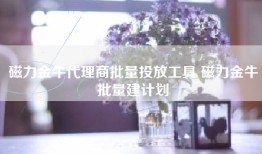 磁力金牛代理商批量投放工具 磁力金牛批量建计划