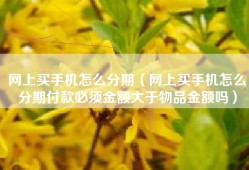 网上买手机怎么分期（网上买手机怎么分期付款必须金额大于物品金额吗）