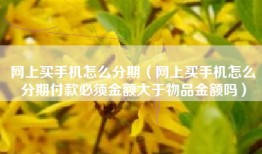 网上买手机怎么分期（网上买手机怎么分期付款必须金额大于物品金额吗）