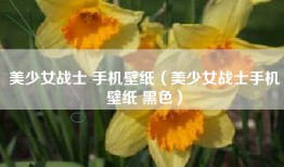 美少女战士 手机壁纸（美少女战士手机壁纸 黑色）