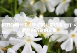 很安静时一个人听歌的心情说说 一个人静静的听歌的文案