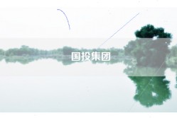 国投集团