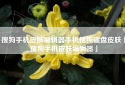 搜狗手机皮肤编辑器手机搜狗键盘皮肤「搜狗手机皮肤编辑器」