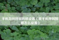 手机如何呼叫转移设置（我手机呼叫转移怎么设置）