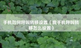手机如何呼叫转移设置（我手机呼叫转移怎么设置）