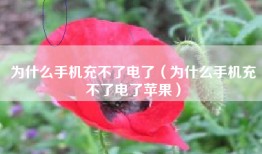 为什么手机充不了电了（为什么手机充不了电了苹果）
