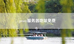 proxy服务器地址免费