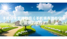 手机安全管理软件（手机端有哪些安全管理的软件）