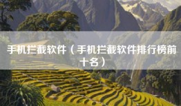 手机拦截软件（手机拦截软件排行榜前十名）