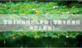苹果手机应用怎么更新（苹果手机里应用怎么更新）