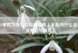 手机为什么会没有信号（手机为什么会没有信号服务）