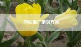 网站推广策划方案
