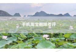 手机淘宝删除差评