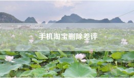 手机淘宝删除差评