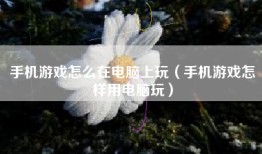 手机游戏怎么在电脑上玩（手机游戏怎样用电脑玩）