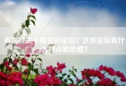 有哪些关于期货的论坛？这些论坛有什么特点和价值？