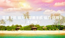 苹果手机 磁力（苹果手机 磁力 信用卡 不识别）