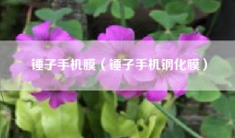 锤子手机膜（锤子手机钢化膜）
