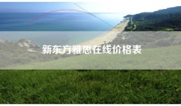 新东方雅思在线价格表