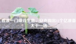 看准一门赚钱生意，安克掏出11个亿准备大干一场