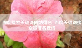 百度搜索关键词网站排名_百度关键词搜索量排名查询