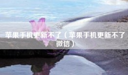 苹果手机更新不了（苹果手机更新不了微信）