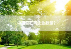 中国互联网企业数量？