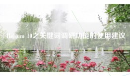 Helium 10之关键词调研功能的使用建议
