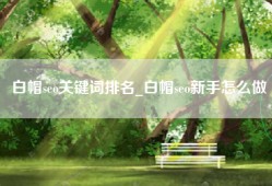 白帽seo关键词排名_白帽seo新手怎么做