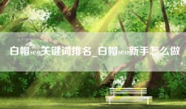 白帽seo关键词排名_白帽seo新手怎么做
