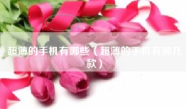 超薄的手机有哪些（超薄的手机有哪几款）