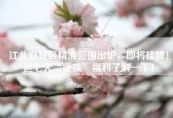 江北自贸区精准范围出炉，即将挂牌！这七大“硬核”福利了解一下！