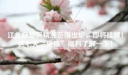 江北自贸区精准范围出炉，即将挂牌！这七大“硬核”福利了解一下！