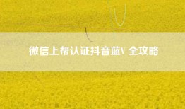 微信上帮认证抖音蓝V 全攻略