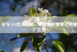 长乐SEO优化攻略，全面解析搜索引擎推广之道