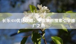 长乐SEO优化攻略，全面解析搜索引擎推广之道