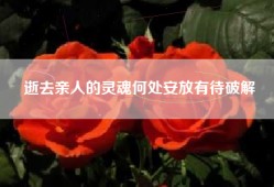 逝去亲人的灵魂何处安放有待破解