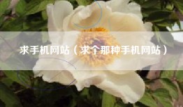 求手机网站（求个那种手机网站）