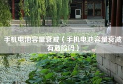 手机电池容量衰减（手机电池容量衰减有危险吗）