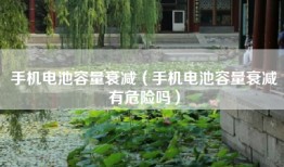 手机电池容量衰减（手机电池容量衰减有危险吗）