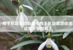用手机设置路由器（用手机设置路由器设置步骤图解）