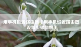 用手机设置路由器（用手机设置路由器设置步骤图解）