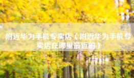 附近华为手机专卖店（附近华为手机专卖店在哪里最近的）