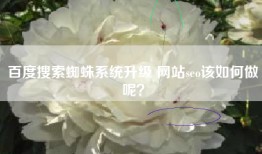 百度搜索蜘蛛系统升级 网站seo该如何做呢？