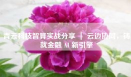 青云科技智算实战分享 ｜ 云边协同，铸就金融 AI 新引擎