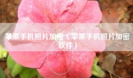 苹果手机照片加密（苹果手机照片加密软件）