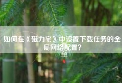 如何在《磁力宅》中设置下载任务的全局网络配置？